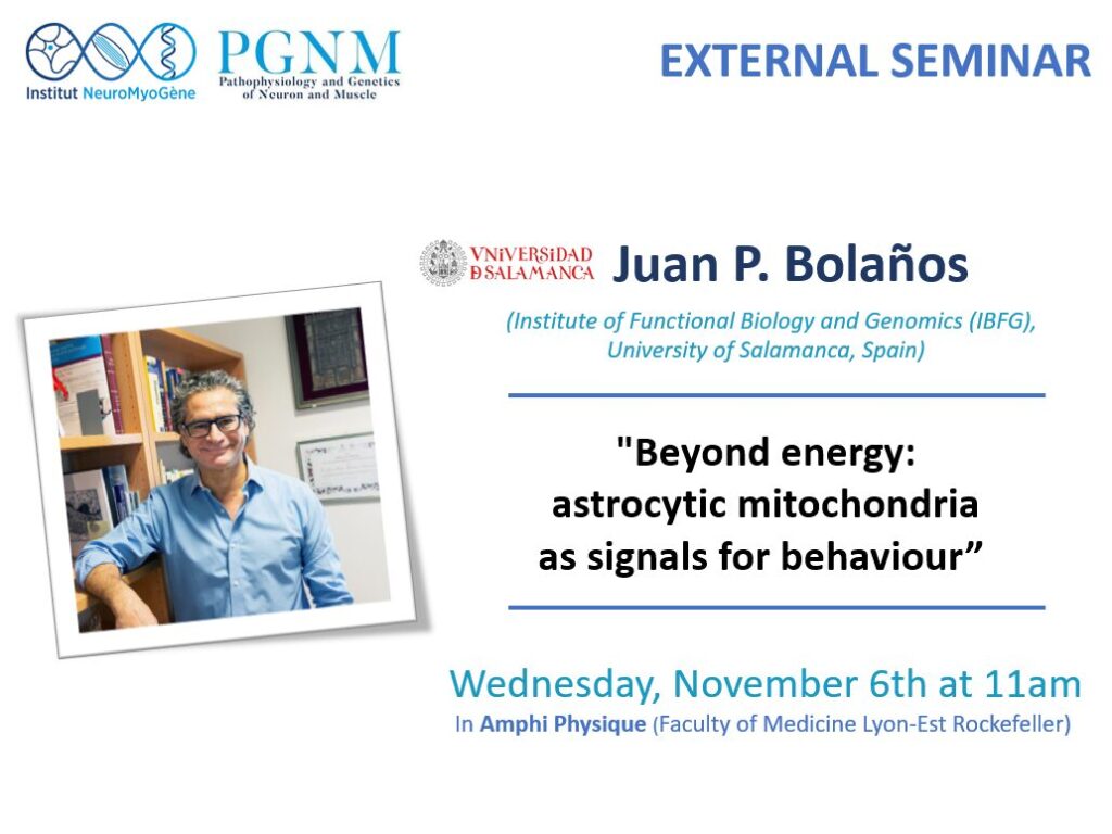 Beyond energy: astrocytic mitochondria as signals for behaviour