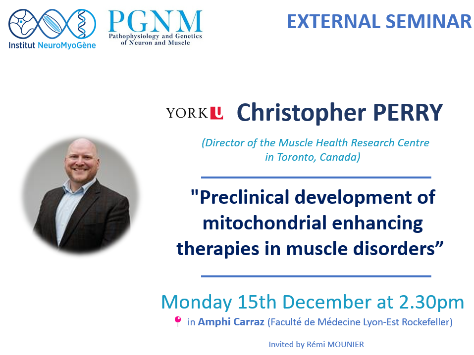 Preclinical development of mitochondrial enhancing therapies in muscle disorders
