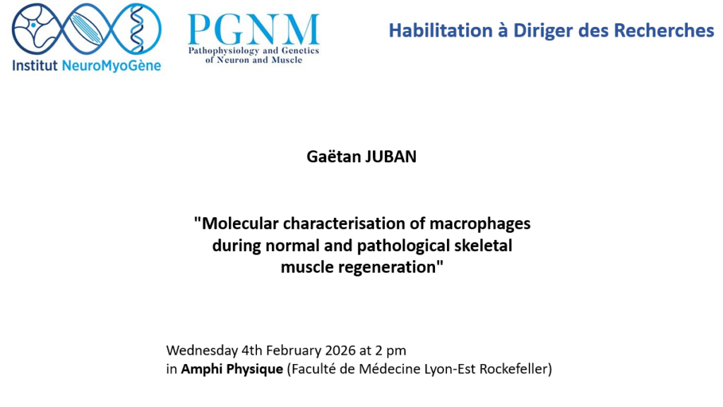 Molecular characterisation of macrophages during normal and pathological skeletal muscle regeneration