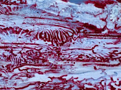 a close up of a red and white painting