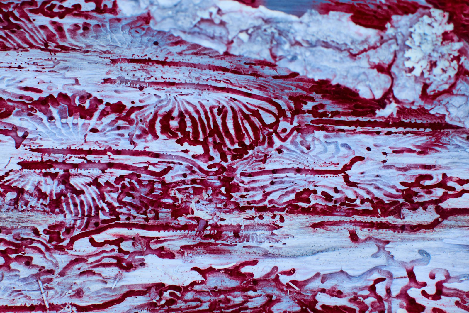 a close up of a red and white painting