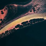 a close up of a snake