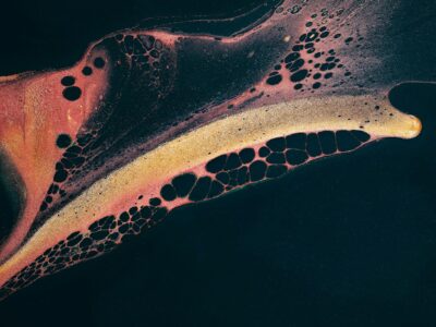 a close up of a snake