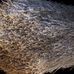 A close up of a white object on a black background