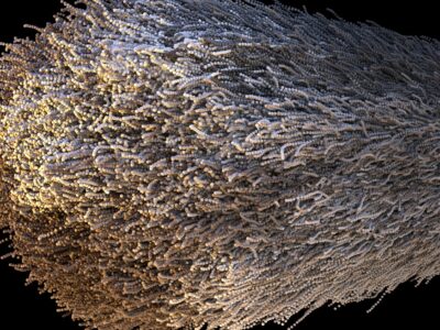 A close up of a white object on a black background