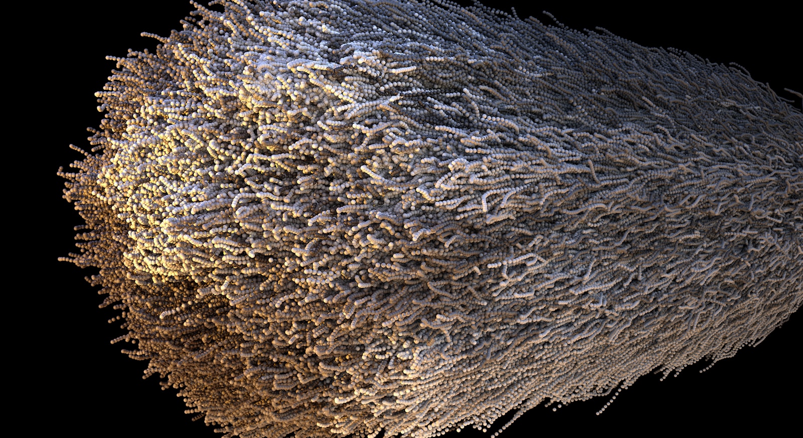 A close up of a white object on a black background