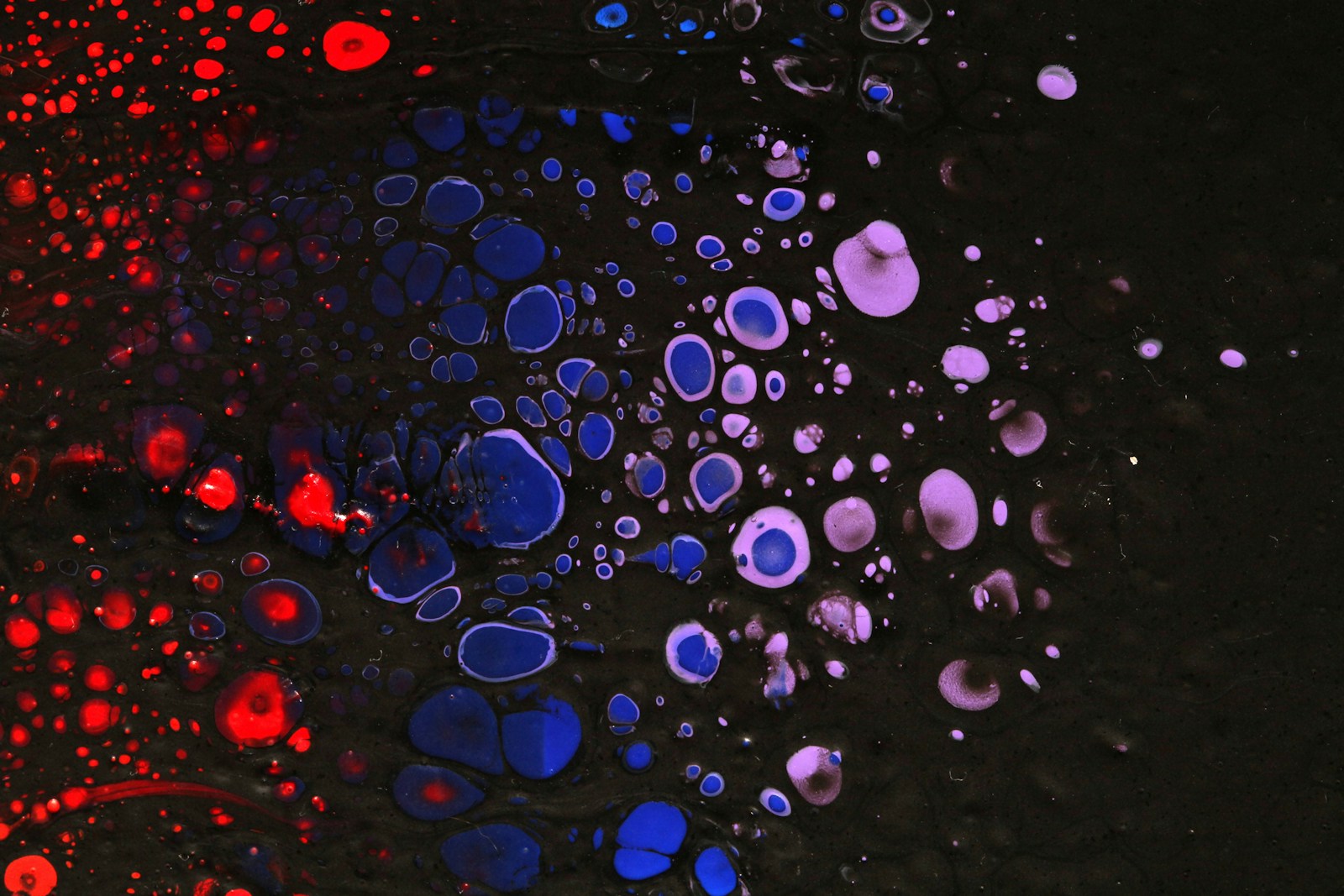 A black background with red, white and blue bubbles