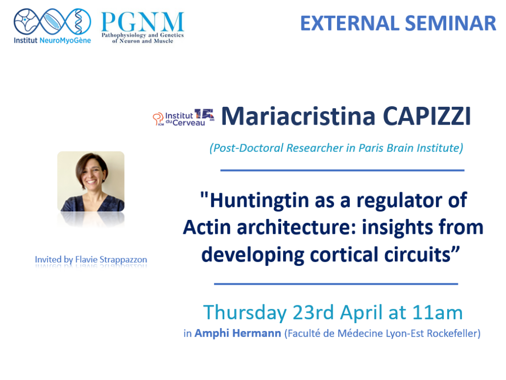Huntingtin as a Regulator of Actin Architecture: Insights from Developing Cortical Circuits