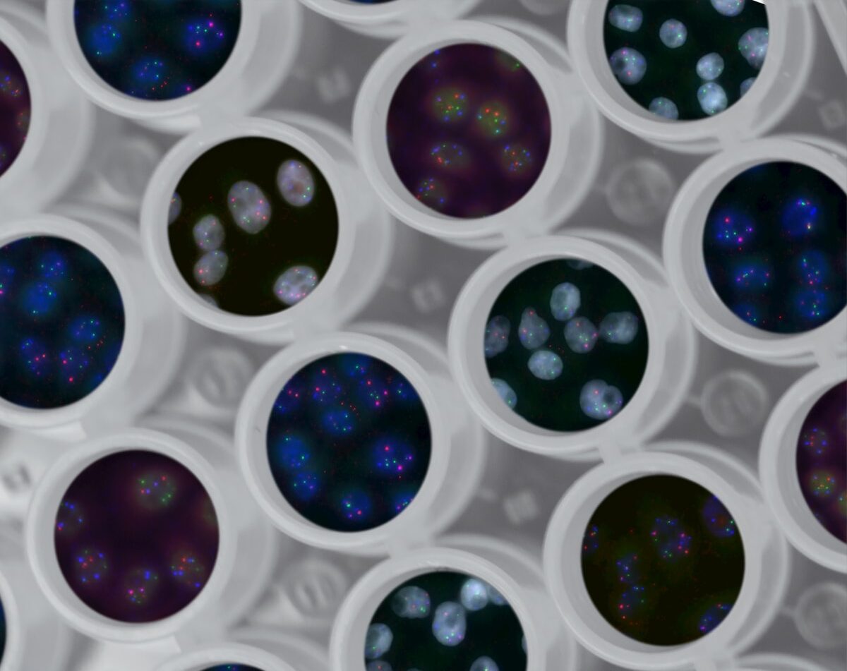 multi-colored polka-dots pattern