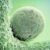 a green substance with blue dots on it