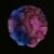 a pink and purple jellyfish