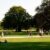 people playing soccer on green grass field during daytime
